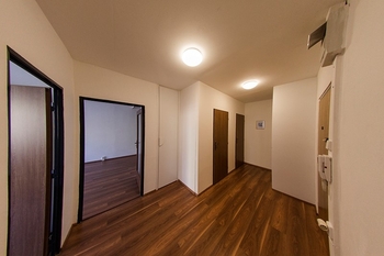 Prodej bytu 3+kk v osobním vlastnictví 65 m², Praha 3 - Žižkov