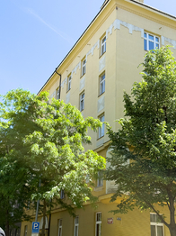 Pronájem bytu 2+kk v osobním vlastnictví 45 m², Praha 3 - Žižkov