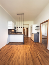 kitchen w liing room - Pronájem bytu 2+kk v osobním vlastnictví 45 m², Praha 3 - Žižkov