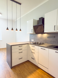 kitchen - Pronájem bytu 2+kk v osobním vlastnictví 45 m², Praha 3 - Žižkov