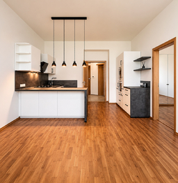 Pronájem bytu 2+kk v osobním vlastnictví 45 m², Praha 3 - Žižkov