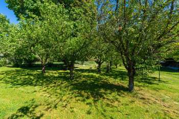Prodej pozemku 1408 m², Horní Planá