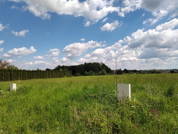 Prodej pozemku 2600 m², Václavovice