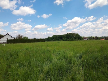 Prodej pozemku 2600 m², Václavovice