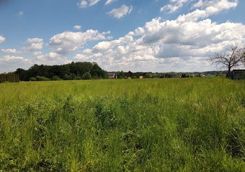 Prodej pozemku 2600 m², Václavovice