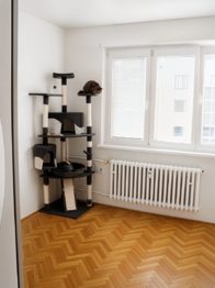 Prodej bytu 3+1 v osobním vlastnictví 74 m², Litovel