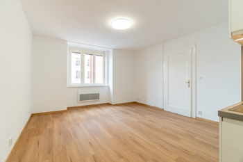 Prodej bytu 1+kk v osobním vlastnictví 34 m², Praha 3 - Žižkov