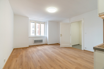 Prodej bytu 1+kk v osobním vlastnictví 34 m², Praha 3 - Žižkov