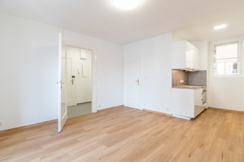 Prodej bytu 1+kk v osobním vlastnictví 34 m², Praha 3 - Žižkov