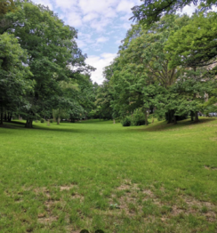 Park Jezerka - Prodej bytu 3+1 v osobním vlastnictví 84 m², Praha 4 - Nusle