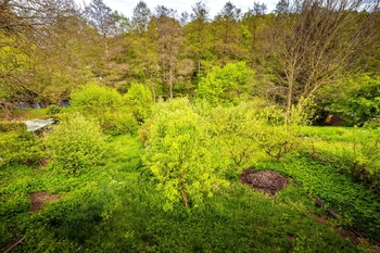 Prodej domu 102 m², Husinec