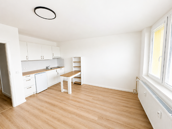 Pronájem bytu 1+kk v osobním vlastnictví 33 m², Brno