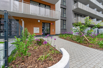 vchod - Pronájem bytu 1+kk v osobním vlastnictví 38 m², Praha 9 - Vysočany