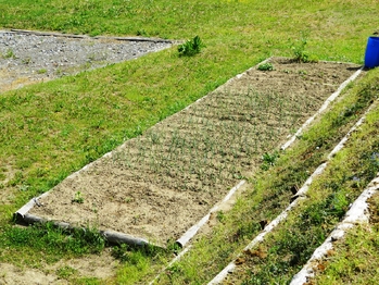 Záhon. - Pronájem pozemku 340 m², Dražice
