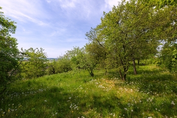 Prodej pozemku 953 m², Praha 9 - Dolní Počernice