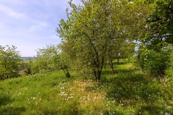 Prodej pozemku 953 m², Praha 9 - Dolní Počernice