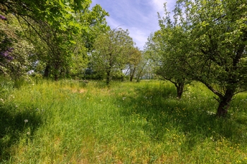 Prodej pozemku 953 m², Praha 9 - Dolní Počernice