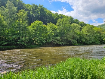 Prodej chaty / chalupy 35 m², Stráž nad Ohří