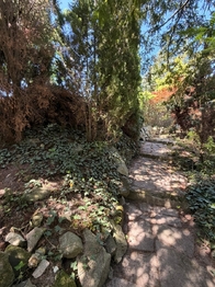 Prodej pozemku 492 m², Pchery