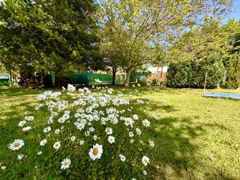 Prodej pozemku 922 m², Pardubice