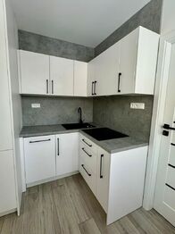 Pronájem bytu 3+kk v družstevním vlastnictví 60 m², Ostrava