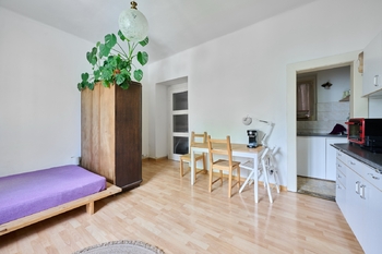 Prodej bytu 1+kk v osobním vlastnictví 29 m², Praha 10 - Vršovice