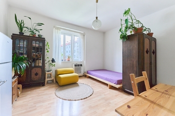 Prodej bytu 1+kk v osobním vlastnictví 29 m², Praha 10 - Vršovice