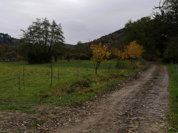 Prodej pozemku 4483 m², Brusné