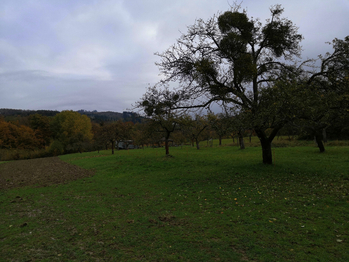 Prodej pozemku 4483 m², Brusné