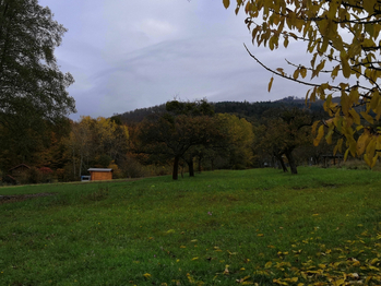 Prodej pozemku 4483 m², Brusné