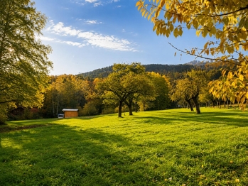 Prodej pozemku 4483 m², Brusné
