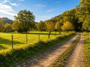 Prodej pozemku 4483 m², Brusné