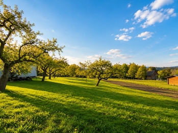 Prodej pozemku 4483 m², Brusné