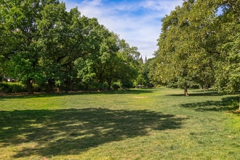Prodej bytu 2+kk v družstevním vlastnictví 56 m², Praha 2 - Vinohrady