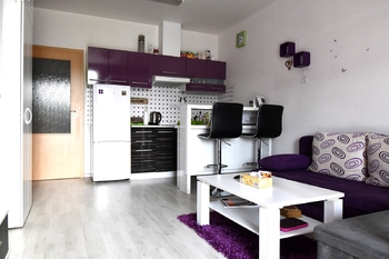 Prodej bytu 1+kk v osobním vlastnictví 29 m², Hradec Králové