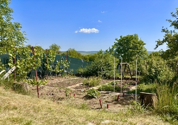 Zadní část zahrady pro pěstování - Prodej chaty / chalupy 66 m², Slavkov u Brna