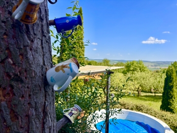 Zátiší od chaty - Prodej chaty / chalupy 66 m², Slavkov u Brna