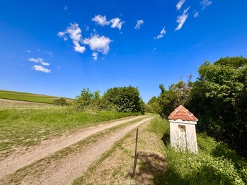 Příjezdová cesta - Prodej chaty / chalupy 66 m², Slavkov u Brna
