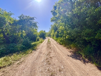 Příjezdová cesta - Prodej chaty / chalupy 66 m², Slavkov u Brna