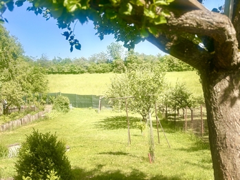 Zahrada na vesdeší parcele 4 - Prodej chaty / chalupy 66 m², Slavkov u Brna