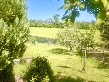 Zahrada na vedleší parcele 5 - Prodej chaty / chalupy 66 m², Slavkov u Brna