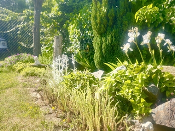 Zahrada na vedleší parcele 6 - Prodej chaty / chalupy 66 m², Slavkov u Brna