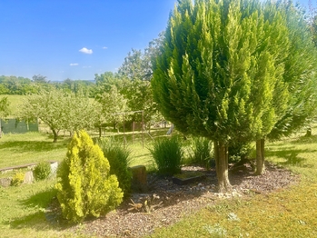 Zahrada na vedleší parcele 8 - Prodej chaty / chalupy 66 m², Slavkov u Brna