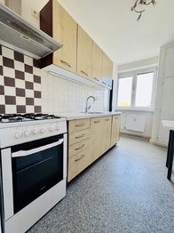 Pronájem bytu 2+1 v osobním vlastnictví 59 m², Vyškov