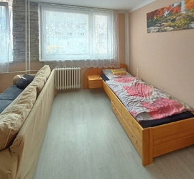 Největší a jediná místnost - Prodej bytu 1+kk v osobním vlastnictví 33 m², Slaný