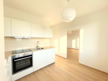 Pronájem bytu 1+1 v osobním vlastnictví 43 m², Plzeň