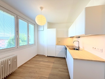Pronájem bytu 1+1 v osobním vlastnictví 43 m², Plzeň