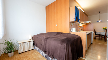 Prodej bytu 2+1 v osobním vlastnictví 53 m², Vyškov