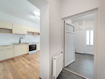 Pronájem bytu 1+kk v osobním vlastnictví 36 m², Račetice