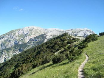 Prodej domu 105 m², Pretoro